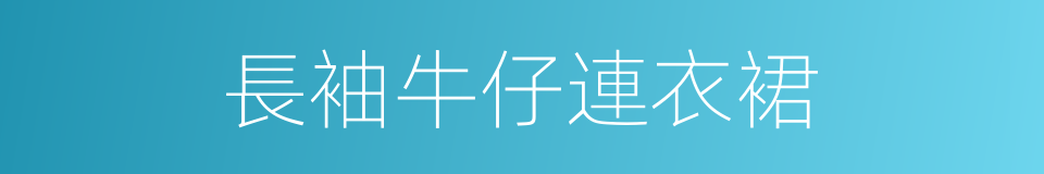 長袖牛仔連衣裙的同義詞