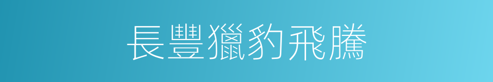 長豐獵豹飛騰的同義詞
