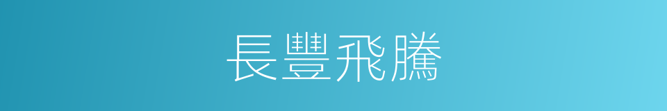 長豐飛騰的同義詞