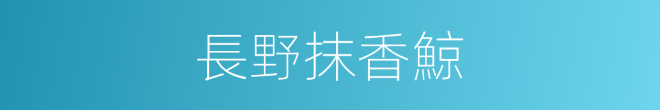 長野抹香鯨的同義詞