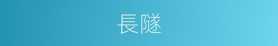 長隧的意思
