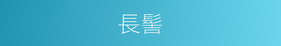 長髻的意思