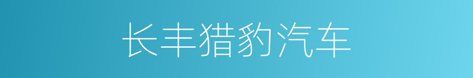 长丰猎豹汽车的同义词