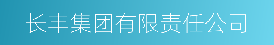 长丰集团有限责任公司的同义词