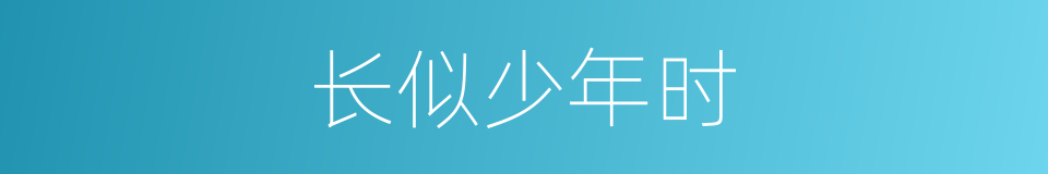 长似少年时的同义词