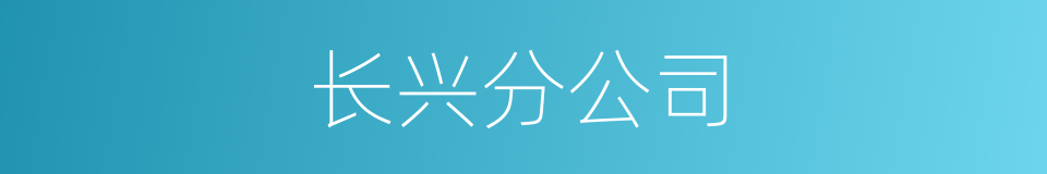 长兴分公司的同义词