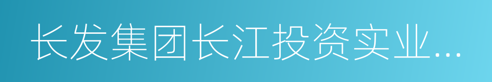 长发集团长江投资实业股份有限公司的同义词