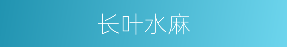 长叶水麻的同义词