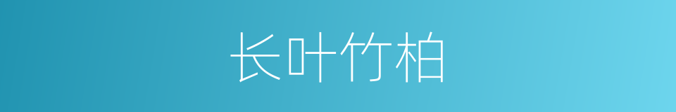 长叶竹柏的同义词