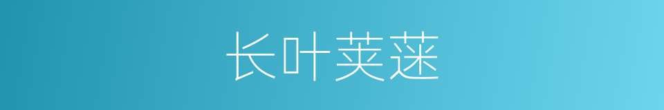 长叶荚蒾的同义词