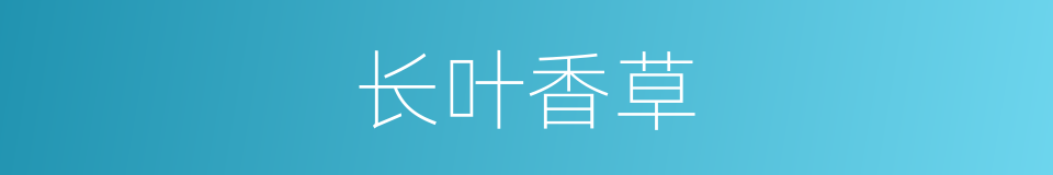 长叶香草的同义词