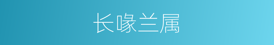 长喙兰属的同义词
