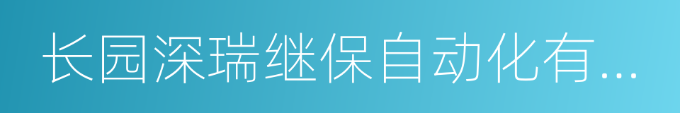 长园深瑞继保自动化有限公司的同义词