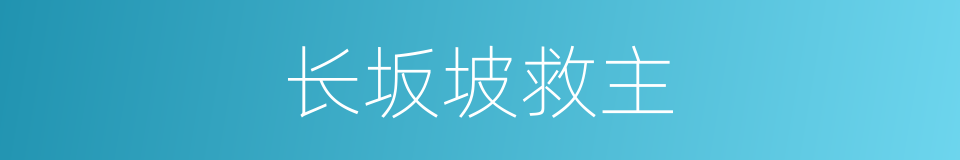 长坂坡救主的同义词