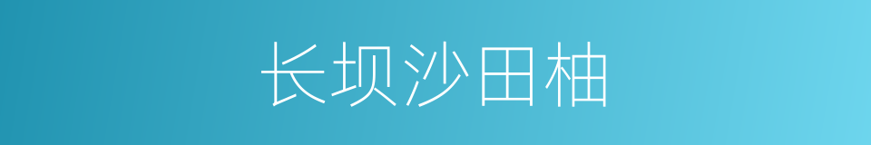 长坝沙田柚的同义词