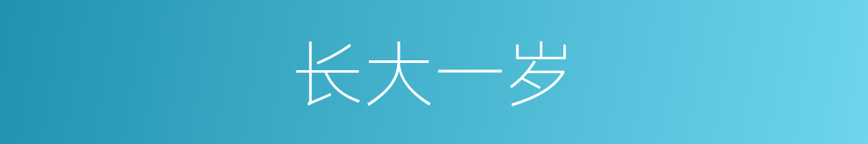 长大一岁的同义词