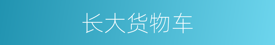 长大货物车的同义词