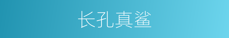 长孔真鲨的同义词