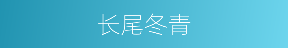 长尾冬青的同义词