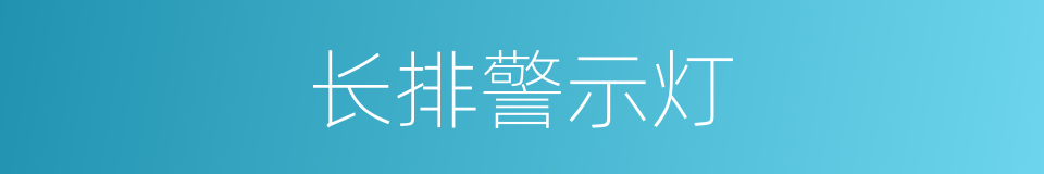 长排警示灯的同义词