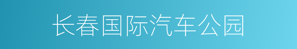 长春国际汽车公园的同义词