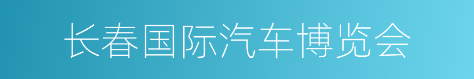 长春国际汽车博览会的同义词