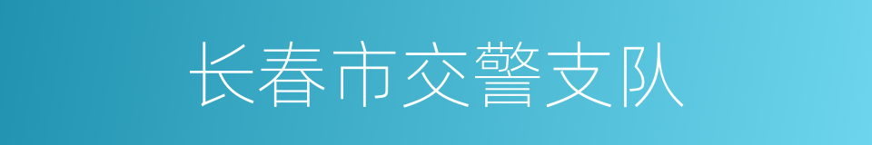 长春市交警支队的同义词