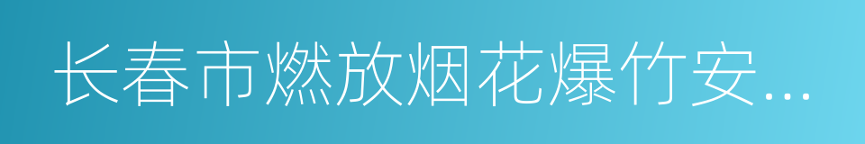 长春市燃放烟花爆竹安全管理条例的同义词