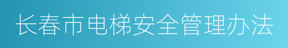 长春市电梯安全管理办法的同义词