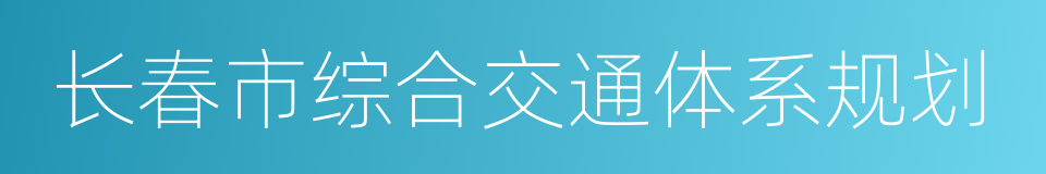 长春市综合交通体系规划的同义词