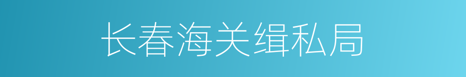 长春海关缉私局的同义词