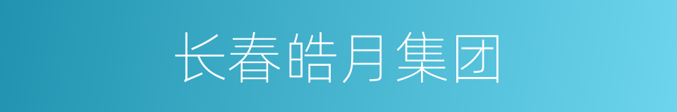 长春皓月集团的同义词