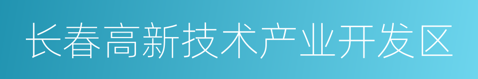 长春高新技术产业开发区的同义词