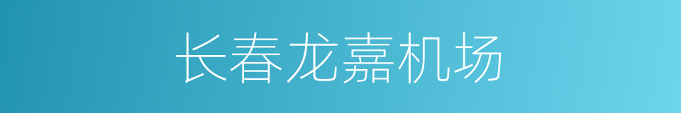 长春龙嘉机场的同义词