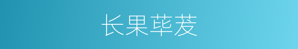长果荜茇的同义词