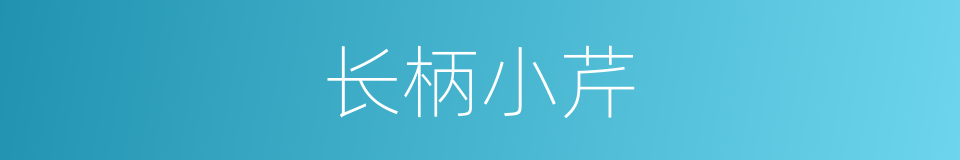 长柄小芹的同义词