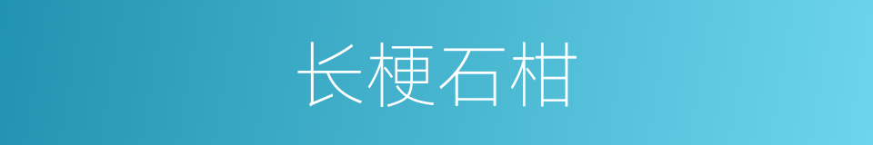 长梗石柑的同义词