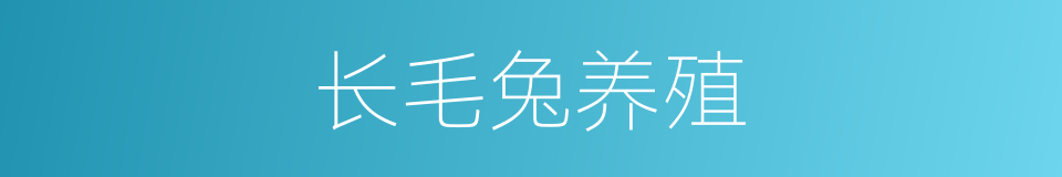 长毛兔养殖的同义词