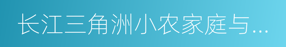 长江三角洲小农家庭与乡村发展的同义词