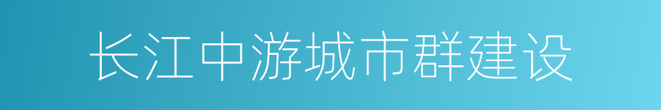 长江中游城市群建设的同义词