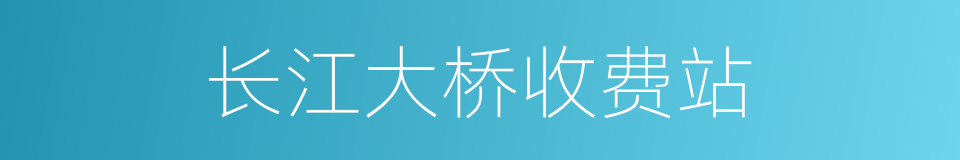 长江大桥收费站的同义词