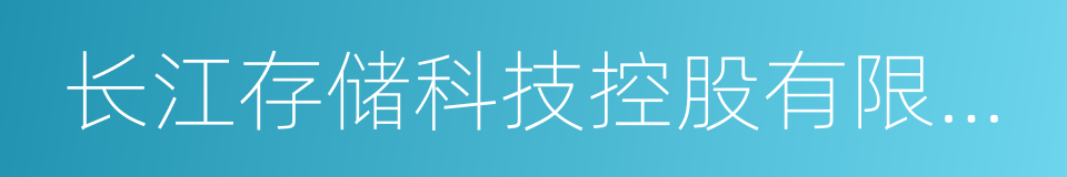 长江存储科技控股有限责任公司的同义词