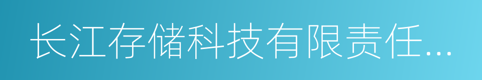 长江存储科技有限责任公司的同义词