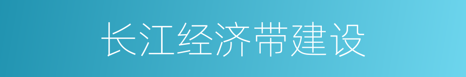 长江经济带建设的同义词