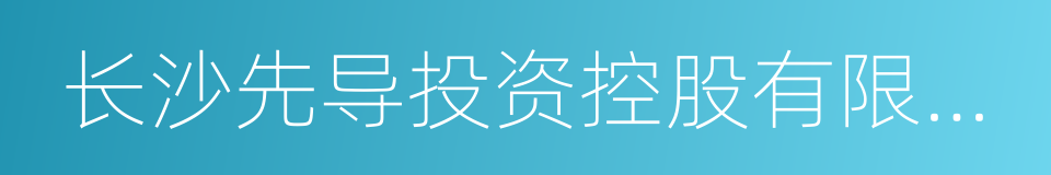 长沙先导投资控股有限公司的同义词