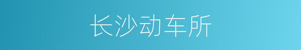 长沙动车所的同义词