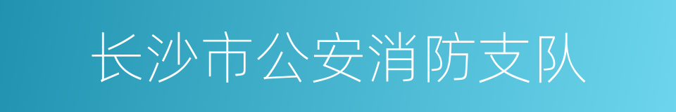 长沙市公安消防支队的同义词