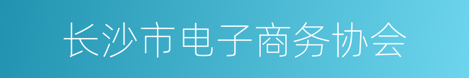 长沙市电子商务协会的同义词