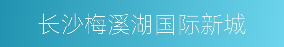 长沙梅溪湖国际新城的同义词