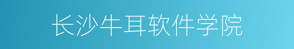 长沙牛耳软件学院的同义词
